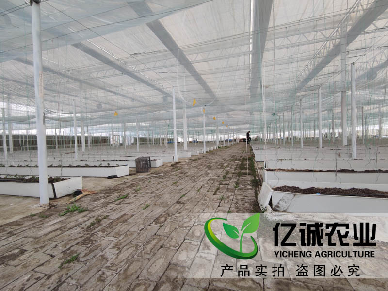 一、現(xiàn)代化玻璃溫室的分類： 1、按結(jié)構(gòu)形式分：有單坡面雙坡面、單坡面三坡面和雙坡面三坡度等四種類型； 2、按后屋面高度分：有高腳式和低腳式兩種類型； 3、根據(jù)前墻的結(jié)構(gòu)不同分為土墻和后砌磚墻兩種； 4、根據(jù)后屋面的形狀可分為平頂和平頂加斜度兩種； 二、現(xiàn)代化玻璃溫室的性能特點(diǎn)： 1、透光性； 　　透明度高是評價(jià)光照強(qiáng)度的重要指標(biāo)之一，透光率是指透入光線中的可見光的百分率，表示的是單位面積上所接受的太陽輻射量的大小.透過率受多種因素的影響而變化.在冬季由于太陽高度角小和大氣透明度差的影響，使透光率下降很快；夏季則因 反射率高和空氣透明度好而使透光率有所提高； 2、保溫性； 　　保溫性能包括兩個(gè)方面：一是保溫和蓄熱能力；二是保持適宜的小氣候的能力.前者指在一定的時(shí)間范圍內(nèi)室外氣溫保持一定的程度；后者是指能夠滿足作物生長的需要而在較長時(shí)間內(nèi)（1～2個(gè)月或更長一些時(shí)間）外界氣溫保持相對穩(wěn)定的能力； 3、抗風(fēng)雪性； 　　抗風(fēng)雪的性能主要體現(xiàn)在兩個(gè)方面：一是防風(fēng)作用——即抵抗大風(fēng)的作用力大小以及抵抗大雪的作用力大小兩方面.其值越大越好！二是防雪作用——即在降下 大雪時(shí)對作物產(chǎn)生多大的影響以及多長時(shí)間才能恢復(fù)生長等方面的問題！其值越小越好； 4、耐候性； 　　耐候性好是指在高溫干旱寒冷條件下都能正常生長結(jié)實(shí)而不致受害的特性！通常所說的耐熱性和耐寒性的要求實(shí)際上就是指的 耐候性好的意思！當(dāng)然這也不是絕對的！